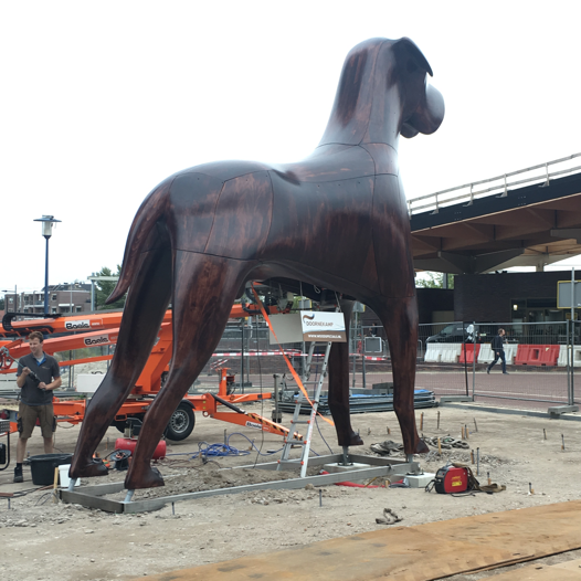 Onze grote viervoeter staat klaar voor de Assenaar